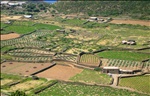 Pantelleria Fields